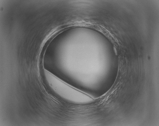 X0000051890344200506241008