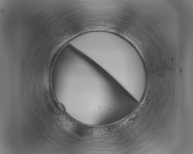 X0000051890345200506241008