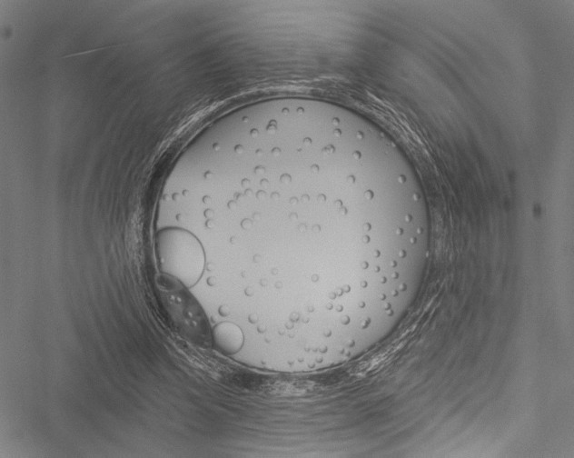 X0000051890346200506241008