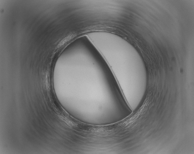 X0000051890349200506241008