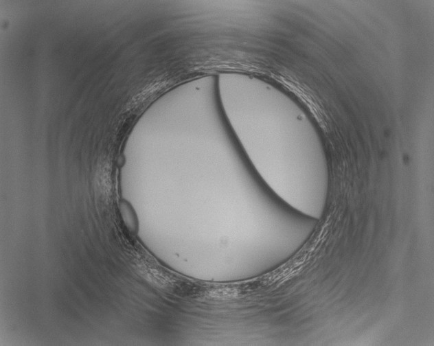 X0000051890353200506241008