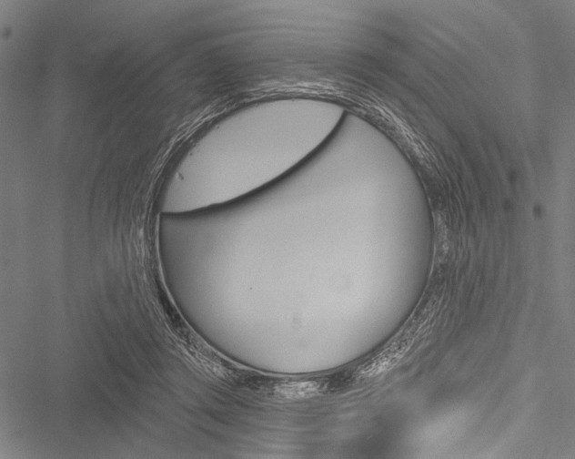 X0000051890357200506241008