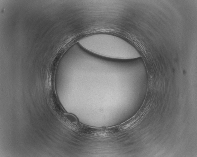 X0000051890358200506241008