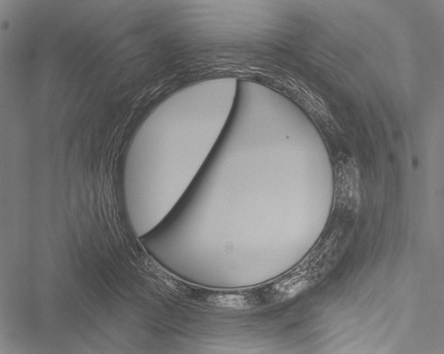 X0000051890361200506241008