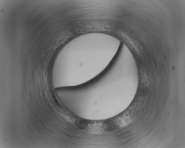 X0000051890362200506241008