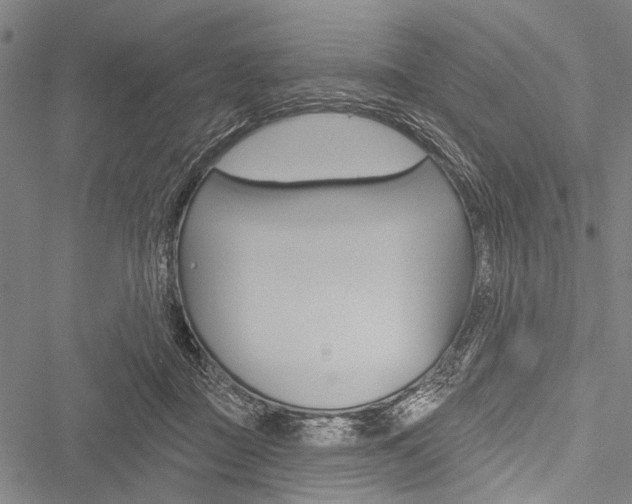 X0000051890363200506241008