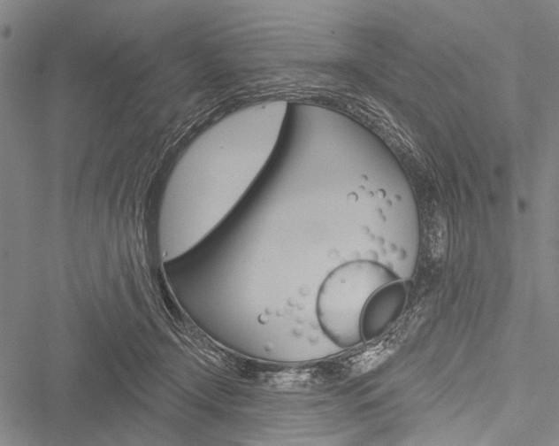 X0000051890366200506241008