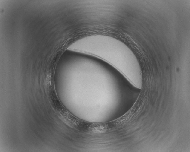 X0000051890368200506241008