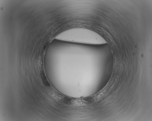 X0000051890372200506241008