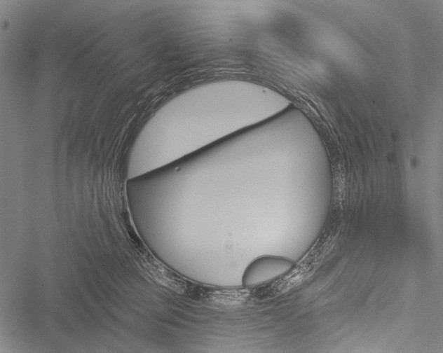 X0000051890373200506241008