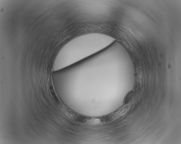 X0000051890374200506241008