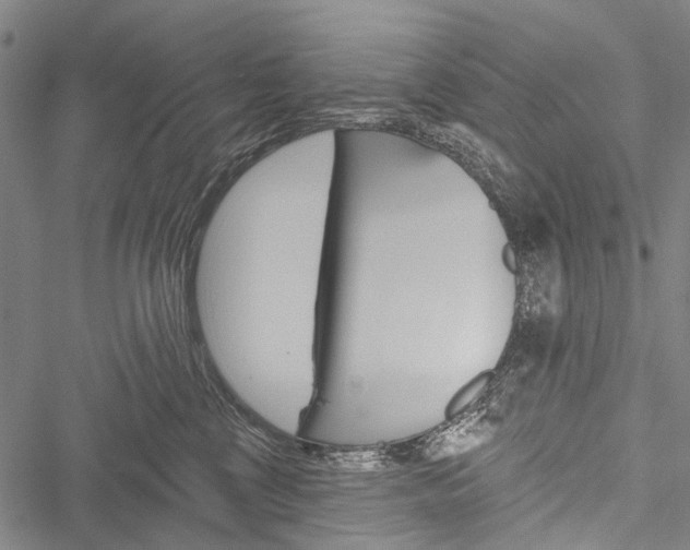 X0000051890377200506241008