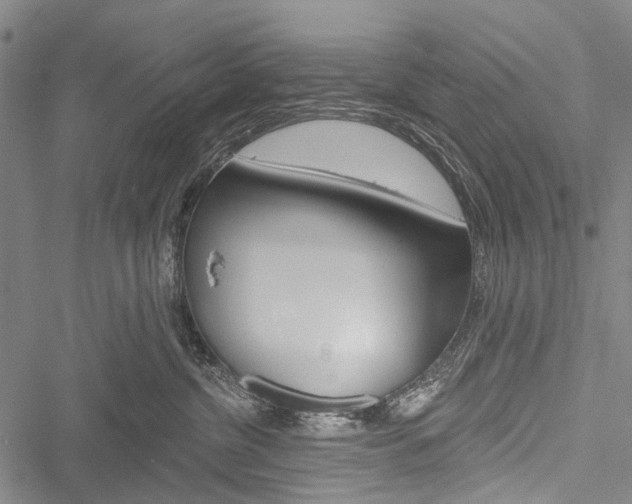 X0000051890380200506241008