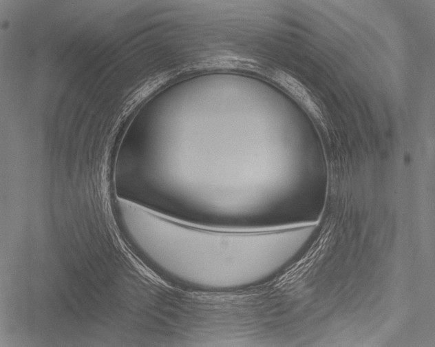 X0000051890389200506241007