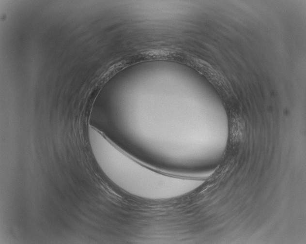 X0000051890428200506241007