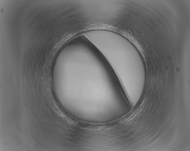 X0000051890433200506241006