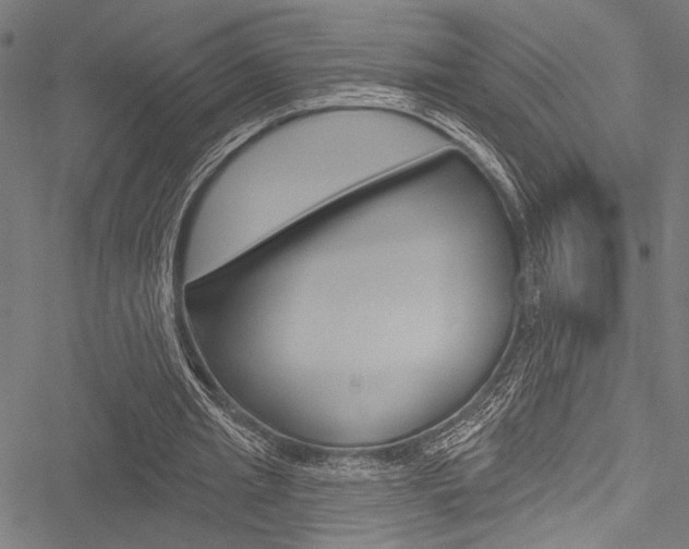 X0000051890437200506241006