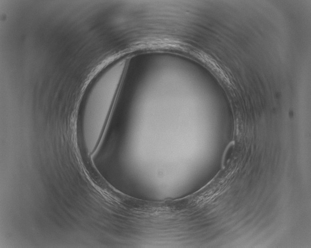 X0000051890438200506241006