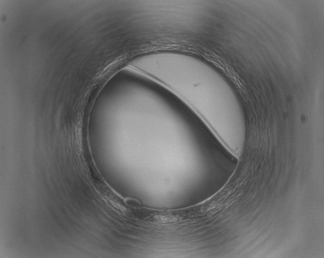 X0000051890442200506241006