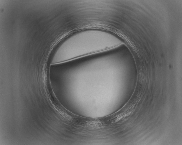 X0000051890446200506241006