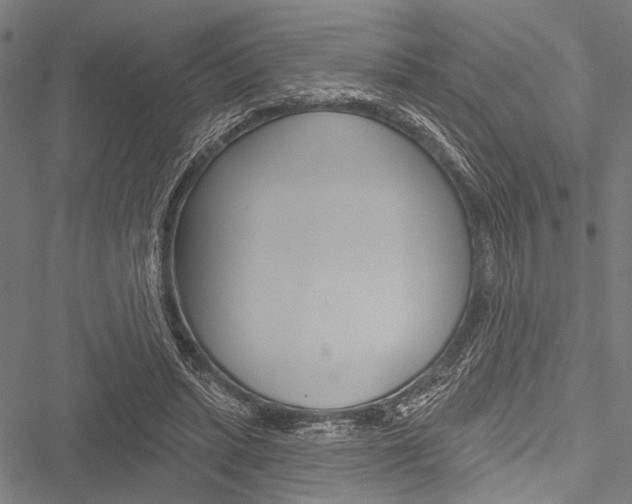 X0000051890447200506241006