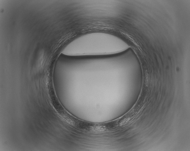 X0000051890451200506241006