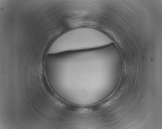 X0000051890453200506241006