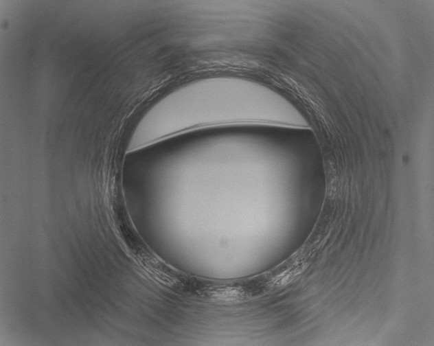 X0000051890456200506241006