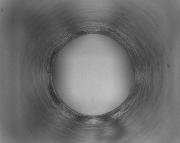 X0000051890460200506241006