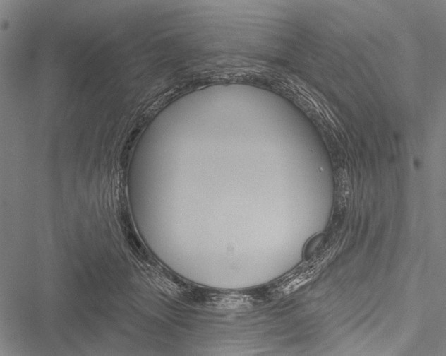 X0000051890463200506241006