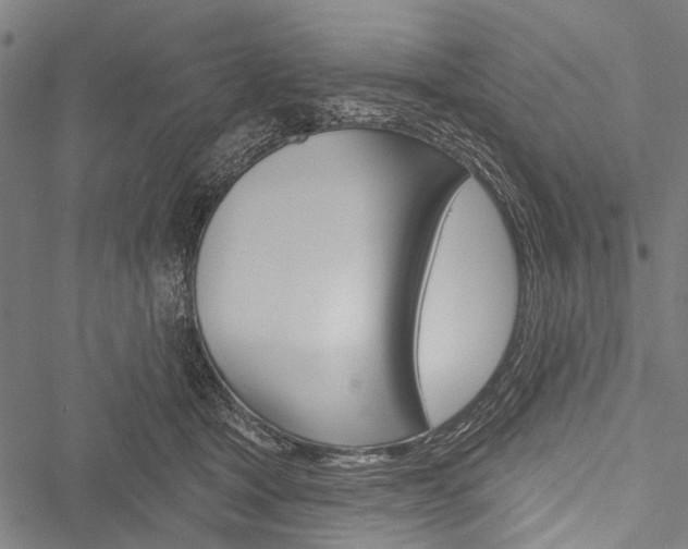 X0000051890465200506241006