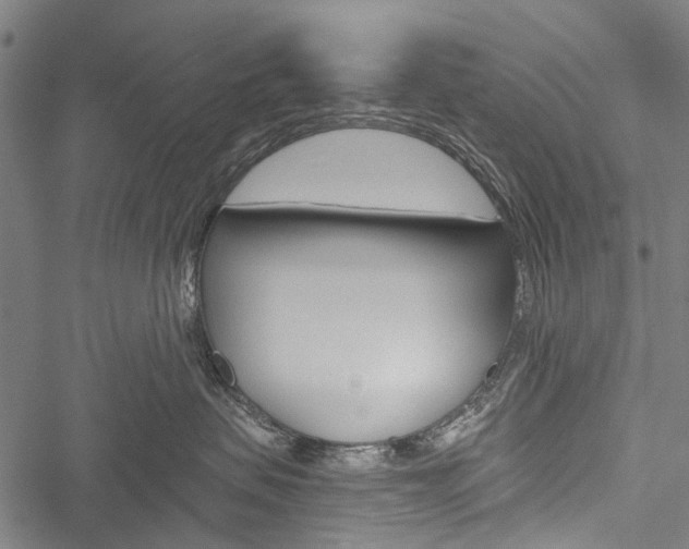 X0000051890479200506241007