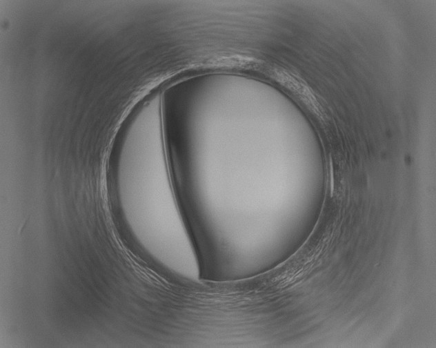 X0000051890483200506241006