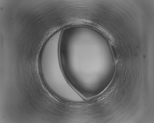 X0000051890485200506241006