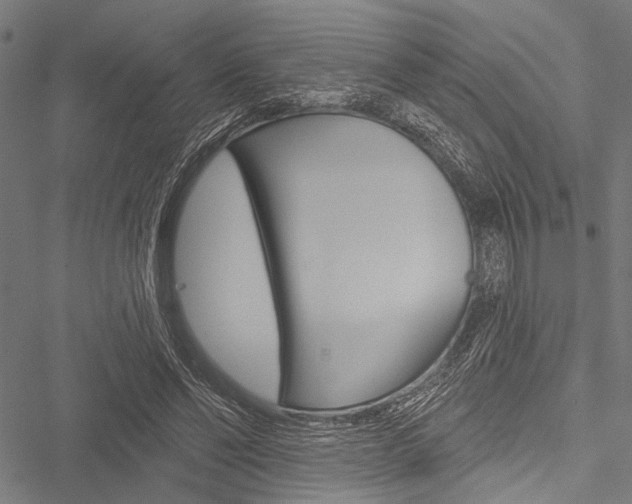 X0000051890494200506241006