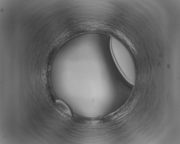 X0000051890497200506241006