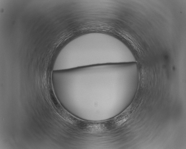 X0000051890499200506241006