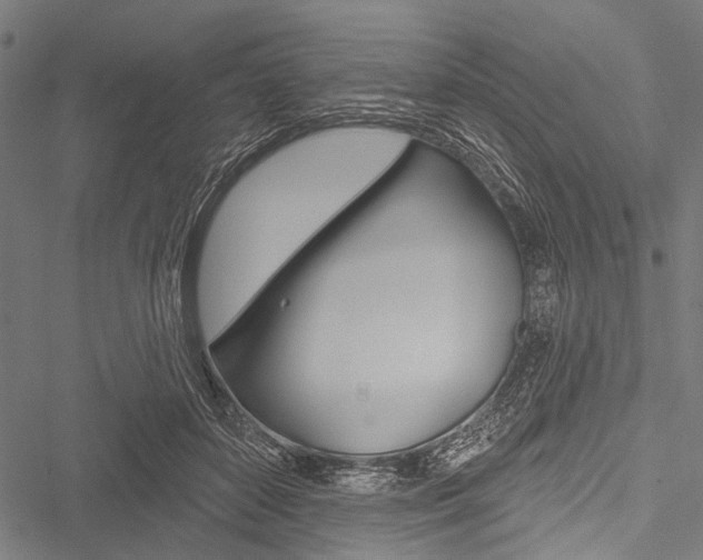 X0000051890504200506241006