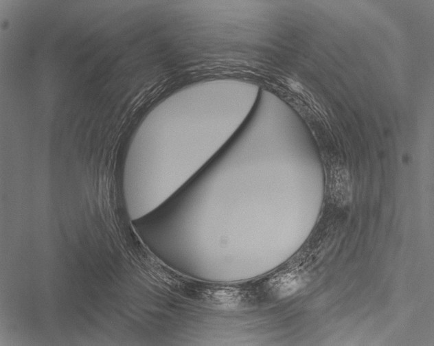 X0000051890506200506241006