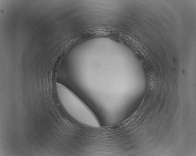 X0000051890512200506241005