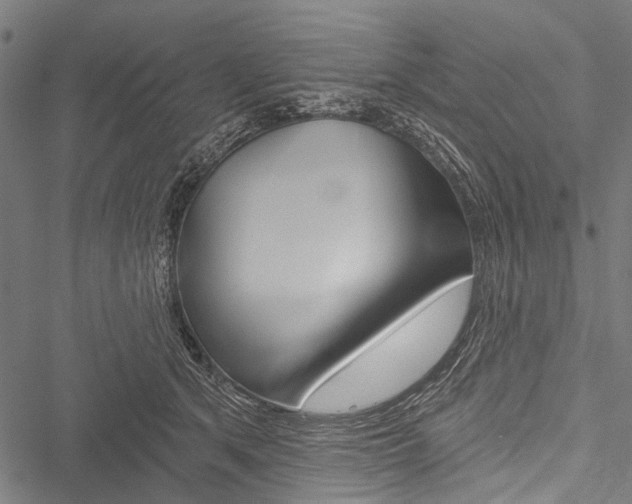 X0000051890513200506241005
