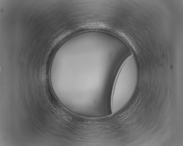 X0000051890531200506241004