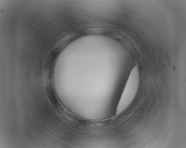 X0000051890599200506241004