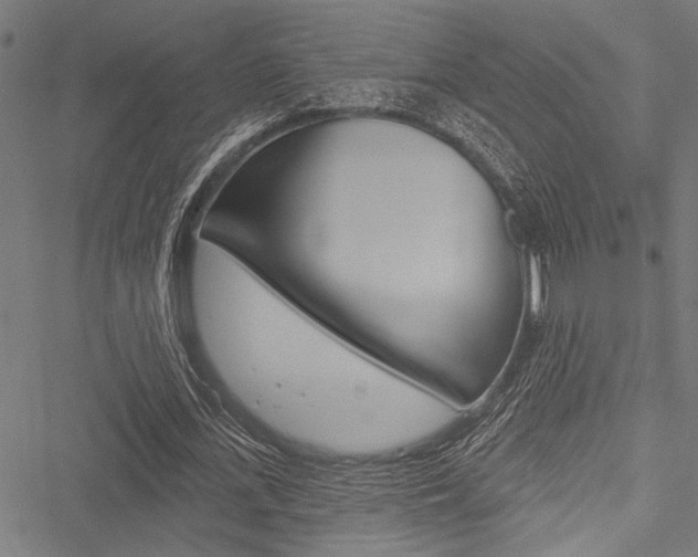X0000051890723200506241001