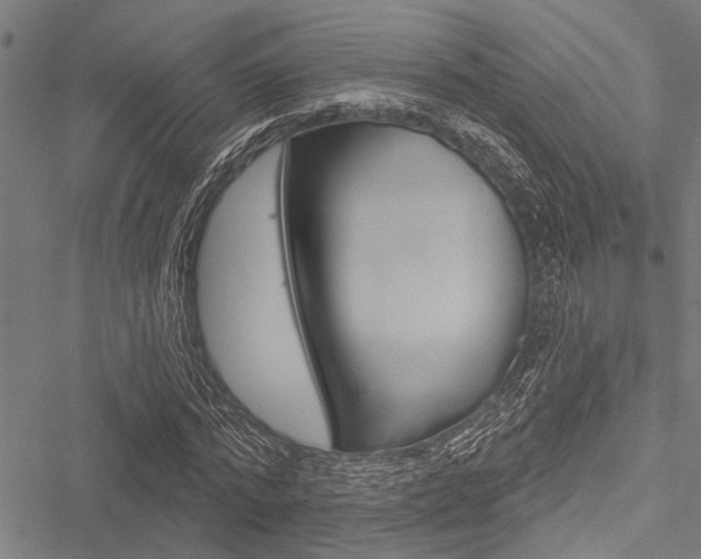 X0000051890776200506241001