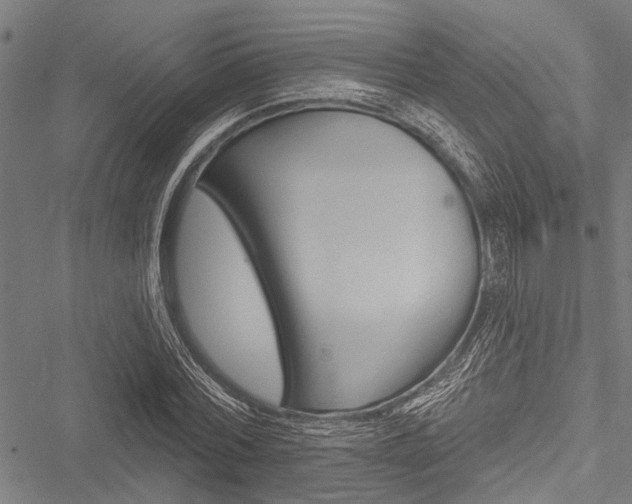 X0000051890780200506241001