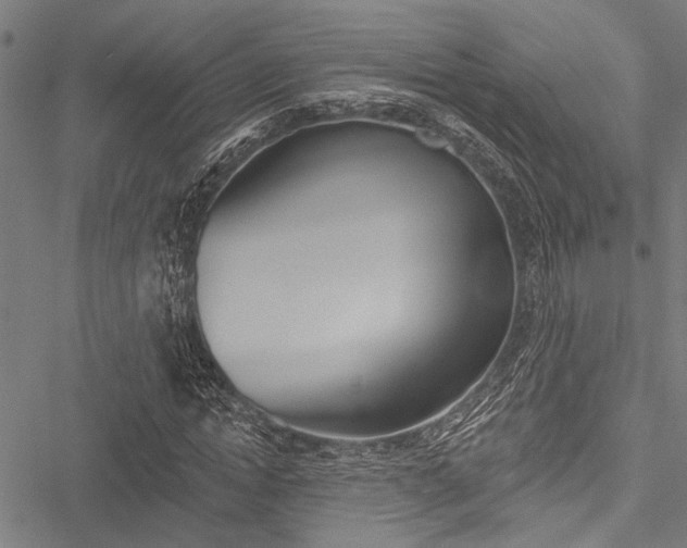 X0000051890822200506241000