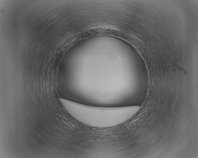 X0000051891014200506240957