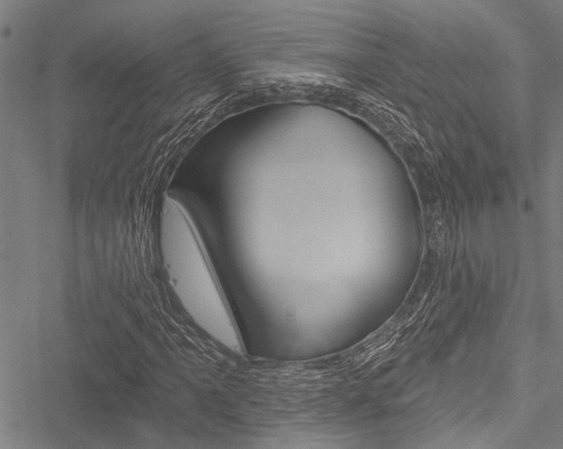 X0000051891061200506240956