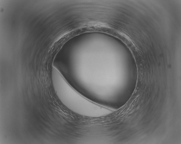 X0000051891112200506240955